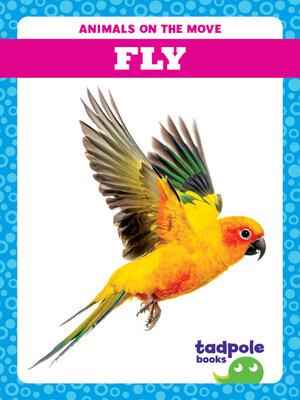 cover image of Fly